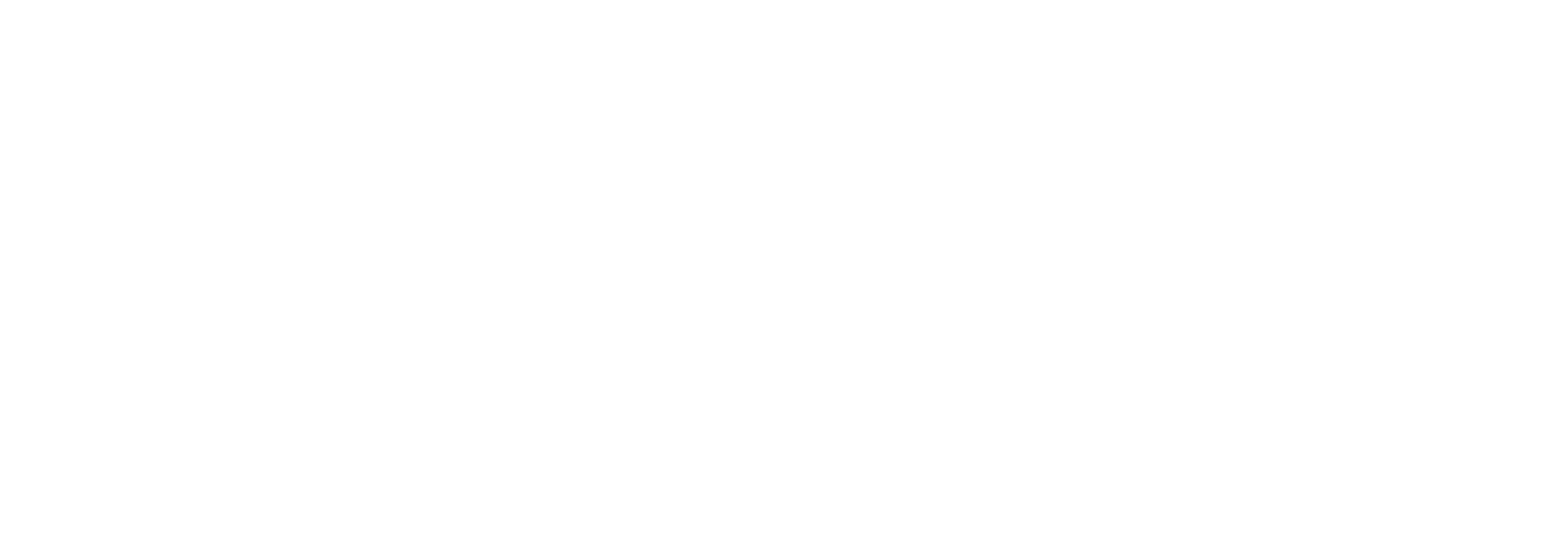 BD Rowa Logo